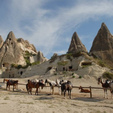 Kapadokya Atlı Safari Turu 